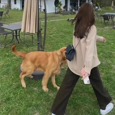 茶啊二中第四季